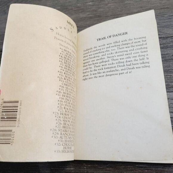 Vintage 90s The Saddle Club BY Bonnie Bryant #29 #20 Book Bundle - Picture 10 of 12